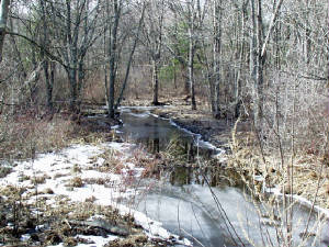 wetassbrook.jpg